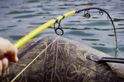 Удилище Black Cat Black Passion G2 Allround Rod 2.70m 600g