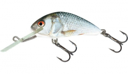 Воблер Salmo Hornet Floating Real Dace 3,5cm 1шт