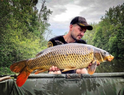 Футболка Hotspot Design CarpFishing Mania T-Shirt L 1шт