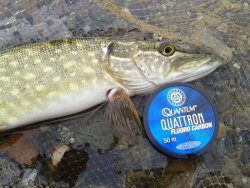 Леска-флюорокарбон Quantum Quattron LS, 0,25 мм, 50 м ()