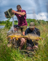 Шорты Korda Kore Quick Dry Shorts Olive XXL 1шт