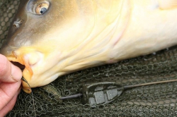 Кормушка методная KORDA Bait-up Method Feeder 50g 1шт