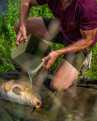 Шорты Korda Kore Quick Dry Shorts Olive XXL 1шт
