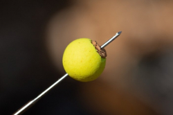 Корковые палочки Korda Cork Sticks 6mm 10шт