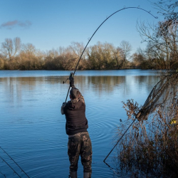 Удилище Fox EOS - X Rod 10ft Full Shrink 3lb 1шт