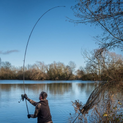 Удилище Fox EOS - X Rod 10ft Full Shrink 3.5lb 1шт