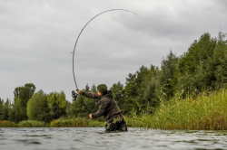 Удилище Avid Carp Elevate 13ft 4lb