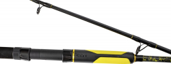 Сомовое удилище Black Cat Perfect Passion Spin 2,70m 60-200g