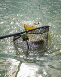 Голова подсака Matrix Carp Scoop Net S 45 x 35cm 1шт