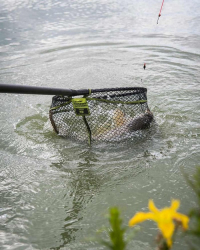 Голова подсака Matrix Carp Scoop Net S 45 x 35cm 1шт
