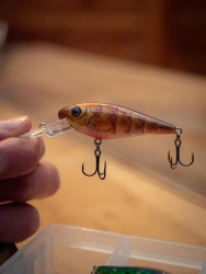 Воблер Salmo Rattlin Executor Brown Perch SDR 7cm 8g 1,5/3,9m 1шт