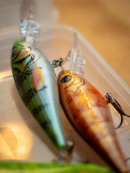 Воблер Salmo Rattlin Executor Purple Trout SDR 7cm 8g 1,5/3,9m 1шт
