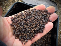 Пеллетс Promix Method Pellet Big Papa 800g