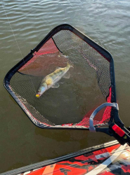 Подсак Rage Speed Flow Folding Net Large