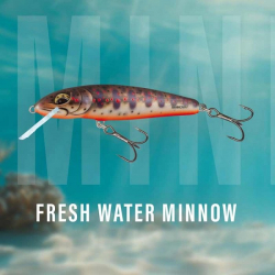 Воблер Salmo Minnow Freshwater Minnow Sinking 6cm 4g 0,5/1,0m 1шт