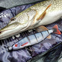 Силиконовая приманка Rage Pro shad Jointed UV Natural Perch Loaded 14cm / 5.5inch 31g 1шт