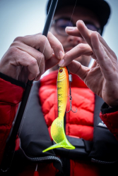 Силиконовая приманка Rage Pro Grub Loaded UV Glitter Perch 16cm 6.3" 35g 1шт