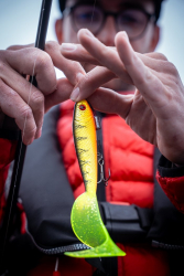 Силиконовая приманка Rage Pro Grub Loaded UV Glitter Perch 16cm 6.3" 35g 1шт