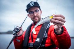 Силиконовая приманка Rage Zander Pro Shad UV Silver Halo Loaded 16cm 1шт