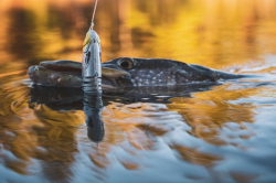 Силиконовая приманка Rage Jointed Replicant Original Stickleback 15cm / 6inch 60g 1шт