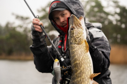 Силиконовая приманка Rage Jointed Replicant Original Stickleback 15cm / 6inch 60g 1шт