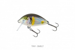 Воблер Salmo Tiny Floating Smelt 3cm 0.3m