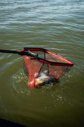 Подсак Rage Speed Flow Compact Net