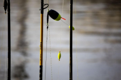 Поплавок сомовый Black Cat Catfish Float 150g 1шт