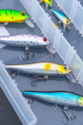 Воблер Zebco Demonic Zanderbait Rainbow 9cm 9.9g