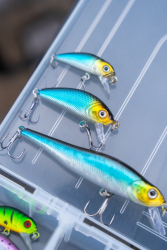 Воблер Zebco Demonic Troutseeker Sardine 4cm 2.2g