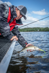 Готова оснастка Rage Drop Shot Mini Ready Rig