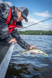 Готова оснастка Rage Drop Shot Mini Ready Rig