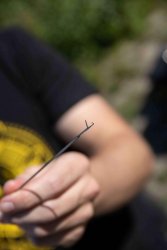 Голка з застібкою Black Cat Pellet Pro Mega Baiting Needle 22,5cm