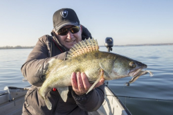 Силіконова приманка Rage Slick Shad Loaded UV Lemon Tiger 9cm 2/0 7g 1шт