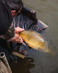 Мат короповий Fox Camolite Welded Flat Mat (with sides)
