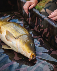 Мат короповий Fox Camolite Welded Flat Mat (with sides)