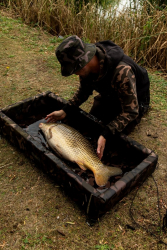 Мат короповий Fox Camolite Welded Flat Mat (with sides)