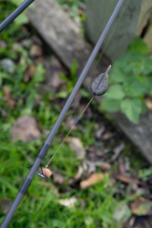 Грузило инлайн Nash Super Flat Pear In-Line Lead 1.5oz/43g 1шт