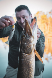 Силіконова приманка Rage Jointed Replicant Original Stickleback 18cm / 7inch 80g 1шт