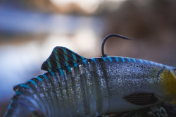 Силіконова приманка Rage Jointed Replicant Slick Scale 18cm / 7inch 80g 1шт