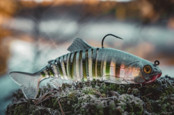 Силіконова приманка Rage Jointed Replicant Original Stickleback 18cm / 7inch 80g 1шт