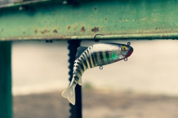 Силіконова приманка Rage Jointed Replicant Slick Scale 18cm / 7inch 80g 1шт