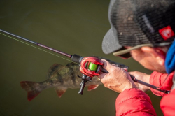 Вудилище спінінгове Rage Warrior Zander Cast 210cm 10-40g 1+1