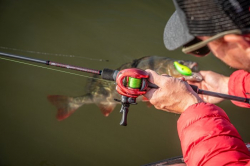 Вудилище спінінгове Rage Warrior Zander Cast 210cm 10-40g 1+1