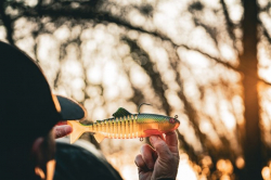 Силіконова приманка Rage Jointed Replicant Slick Scale 18cm / 7inch 80g 1шт