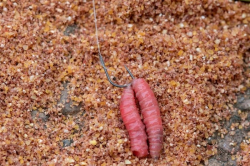 Крючки безбородые Preston XFS-Hooks Barbless Size 18