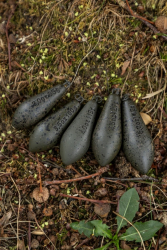 Грузило бокове Fox Edges Heli Lead Distance