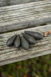 Грузило бокове Fox Edges Heli Lead Distance