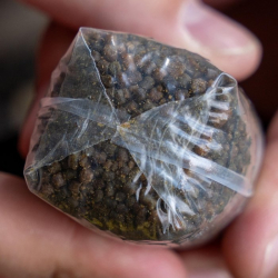 Запасні ПВА пакети Avid Carp Transfer Solid PVA Bag