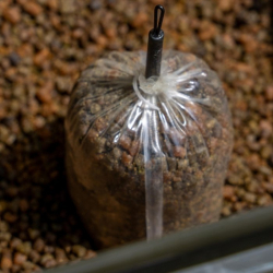 Запасні ПВА пакети Avid Carp Transfer Solid PVA Bag